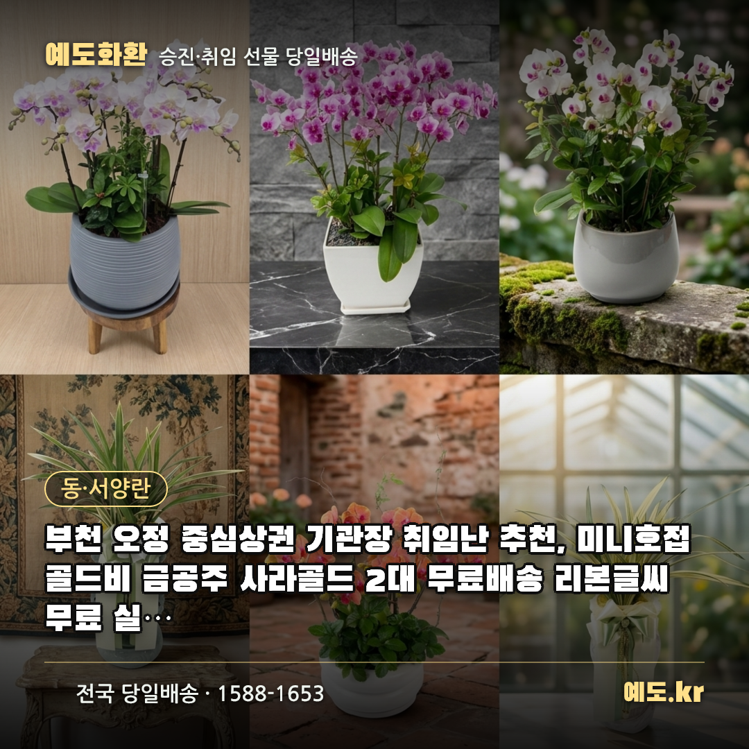 부천 오정 중심상권 기관장 취임난 추천, 미니호접 골드비 금공주 사라골드 2대 무료배송 리본글씨 무료 실제리뷰 - 예도화환