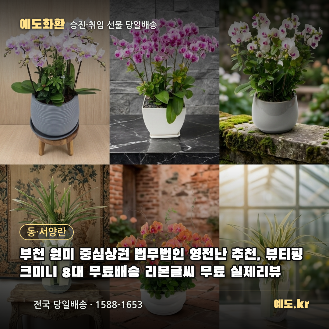 부천 원미 중심상권 법무법인 영전난 추천, 뷰티핑크미니 8대 무료배송 리본글씨 무료 실제리뷰 - 예도화환