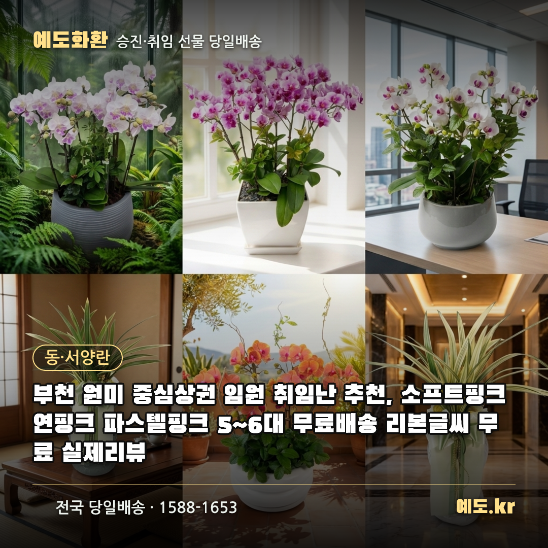 부천 원미 중심상권 임원 취임난 추천, 소프트핑크 연핑크 파스텔핑크 5~6대 무료배송 리본글씨 무료 실제리뷰 - 예도화환