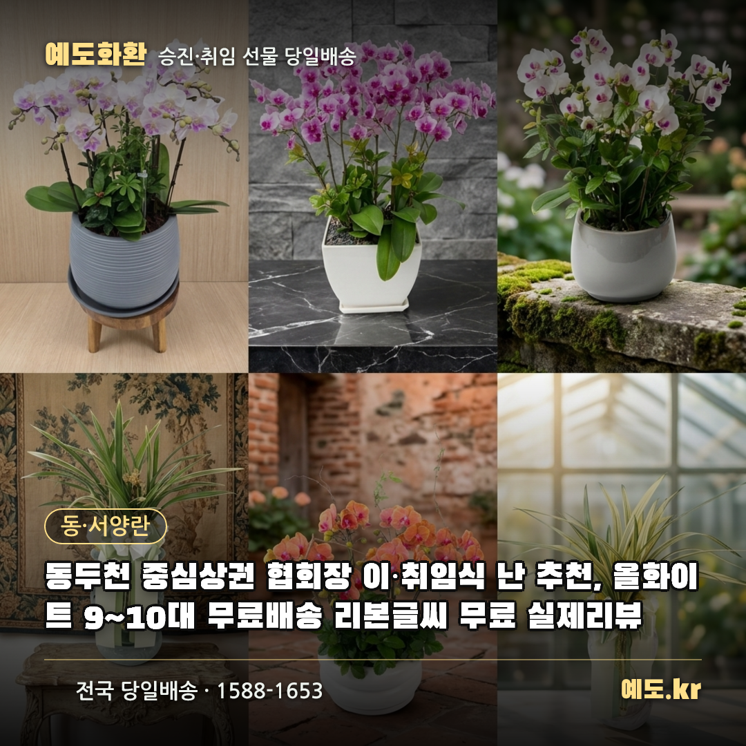 동두천 중심상권 협회장 이·취임식 난 추천, 올화이트 9~10대 무료배송 리본글씨 무료 실제리뷰 - 예도화환