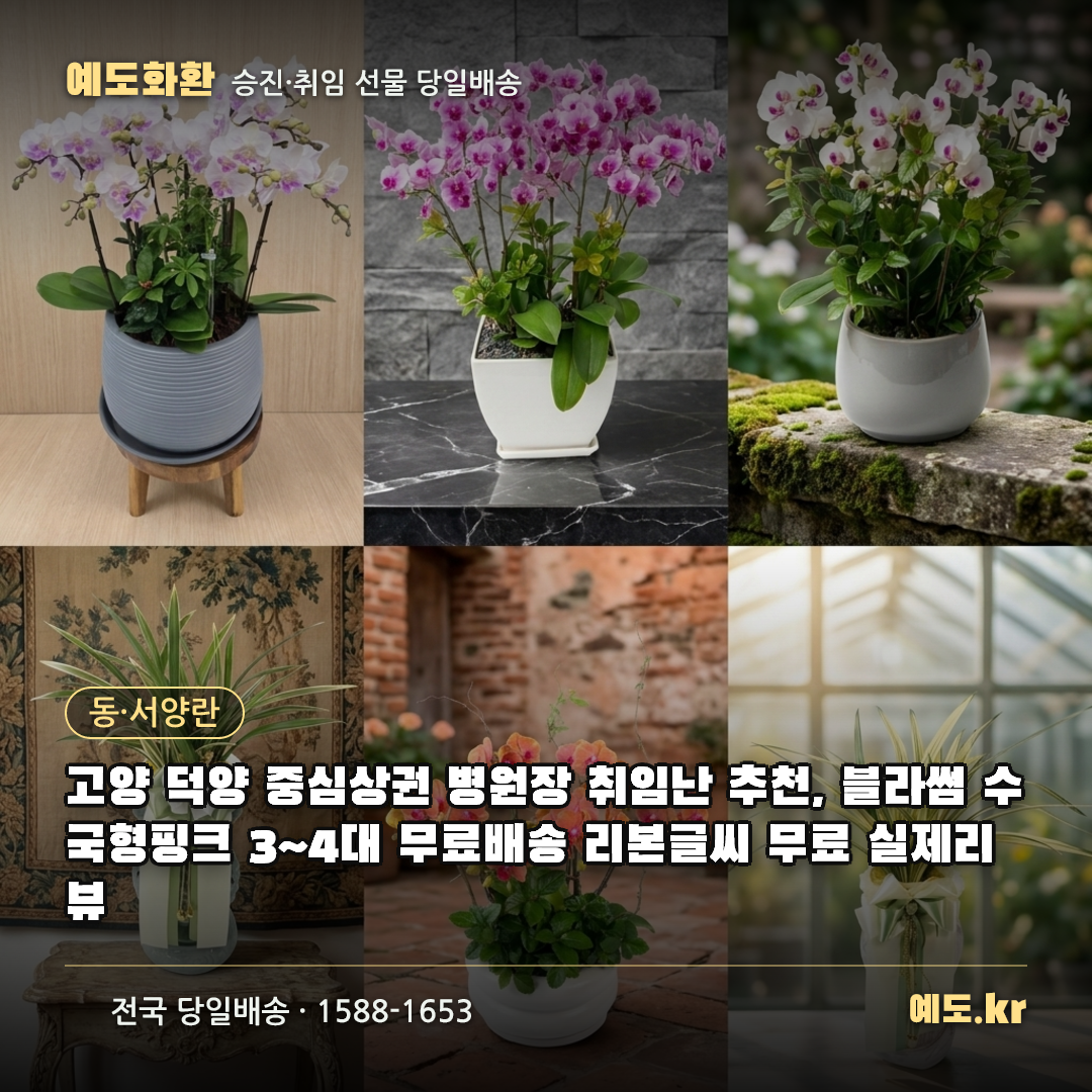 고양 덕양 중심상권 병원장 취임난 추천, 블라썸 수국형핑크 3~4대 무료배송 리본글씨 무료 실제리뷰 - 예도화환