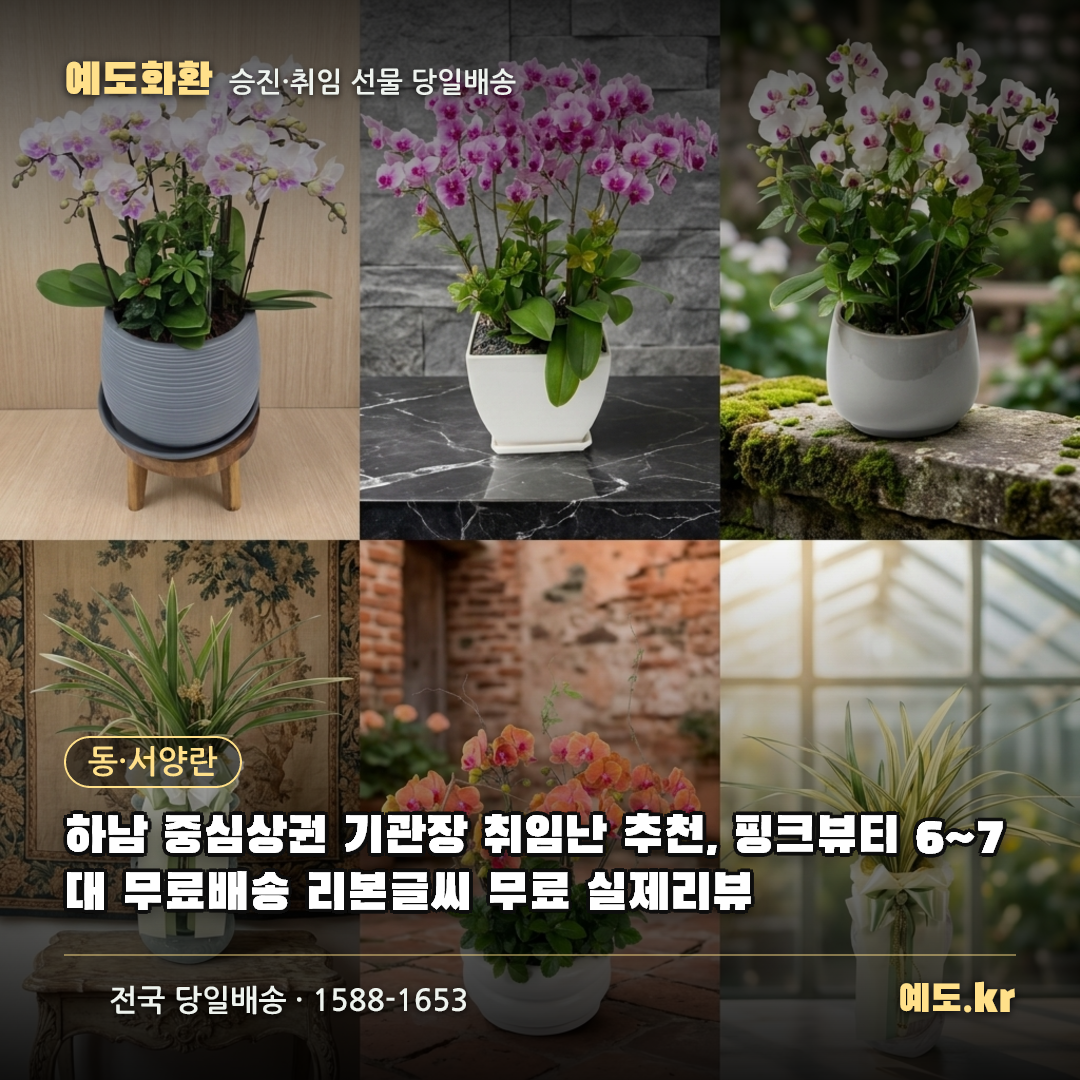 하남 중심상권 기관장 취임난 추천, 핑크뷰티 6~7대 무료배송 리본글씨 무료 실제리뷰 - 예도화환