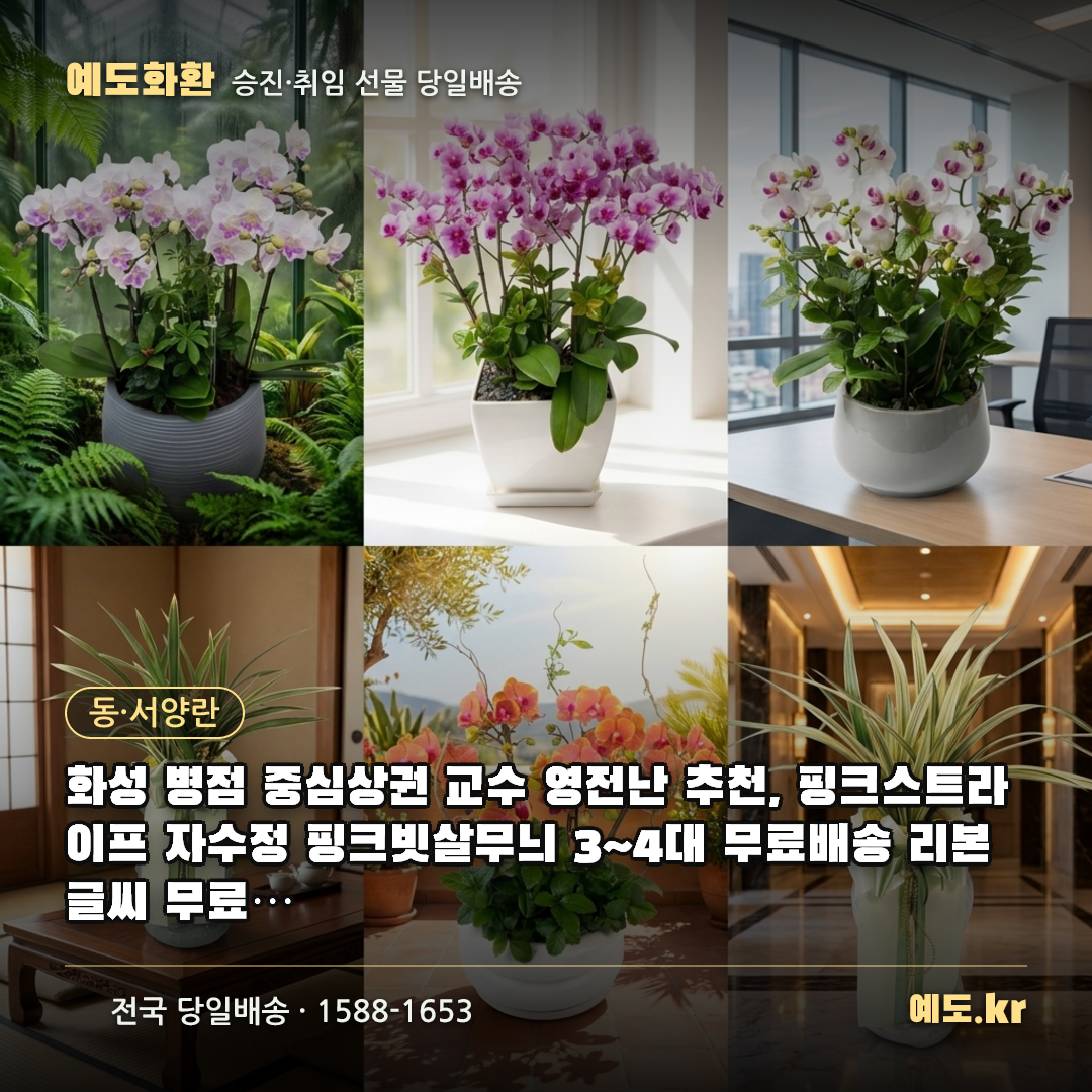 화성 병점 중심상권 교수 영전난 추천, 핑크스트라이프 자수정 핑크빗살무늬 3~4대 무료배송 리본글씨 무료 실제리뷰 - 예도화환