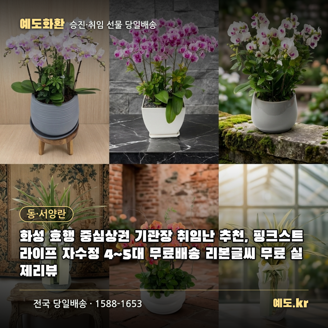 화성 효행 중심상권 기관장 취임난 추천, 핑크스트라이프 자수정 4~5대 무료배송 리본글씨 무료 실제리뷰 - 예도화환