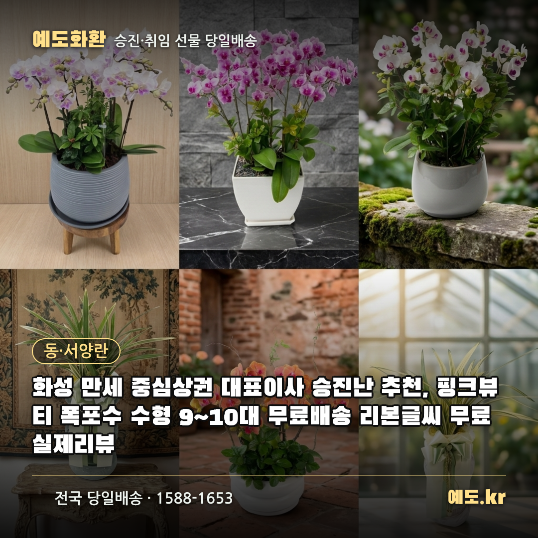 화성 만세 중심상권 대표이사 승진난 추천, 핑크뷰티 폭포수 수형 9~10대 무료배송 리본글씨 무료 실제리뷰 - 예도화환