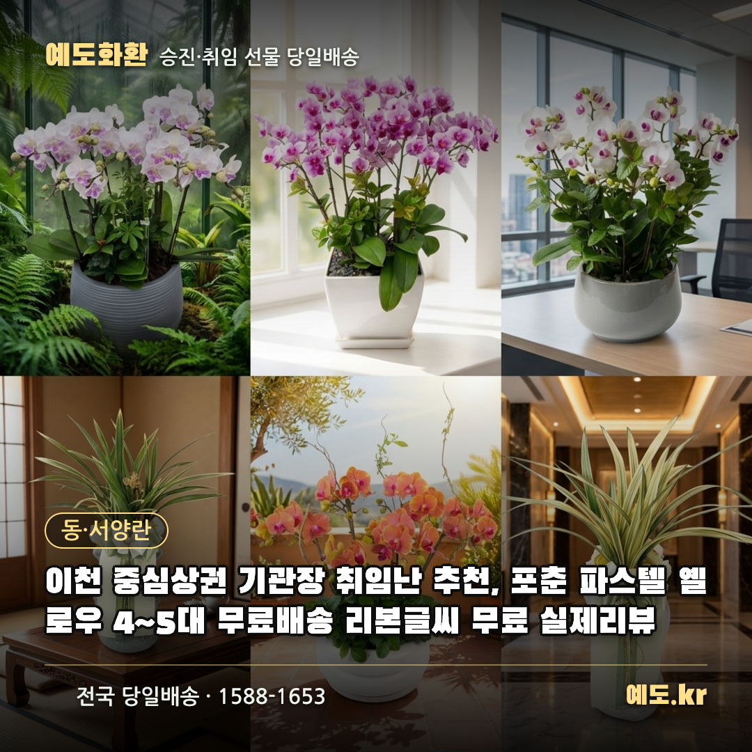 이천 중심상권 기관장 취임난 추천, 포춘 파스텔 옐로우 4~5대 무료배송 리본글씨 무료 실제리뷰 - 예도화환