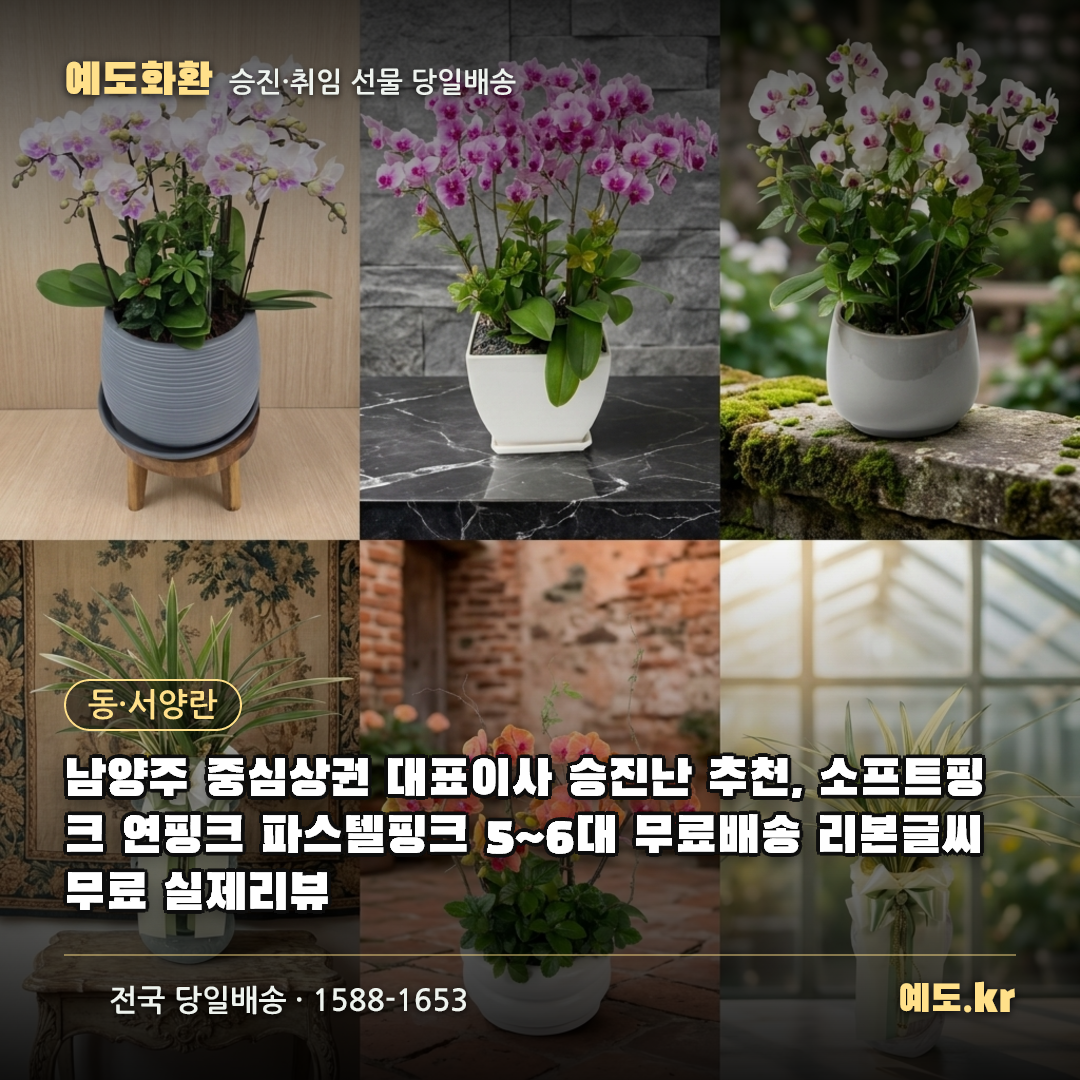 남양주 중심상권 대표이사 승진난 추천, 소프트핑크 연핑크 파스텔핑크 5~6대 무료배송 리본글씨 무료 실제리뷰 - 예도화환