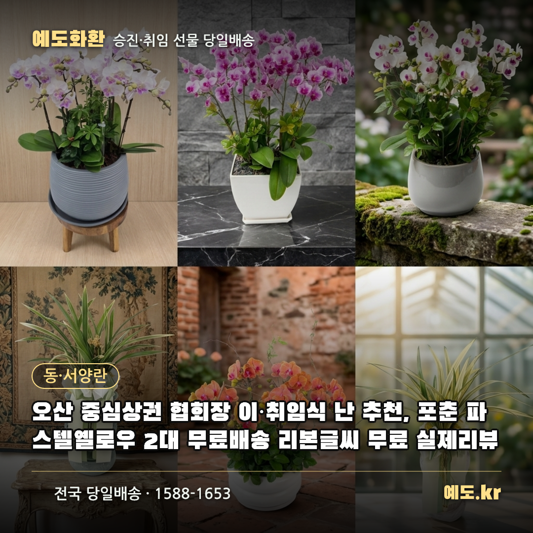 오산 중심상권 협회장 이·취임식 난 추천, 포춘 파스텔옐로우 2대 무료배송 리본글씨 무료 실제리뷰 - 예도화환