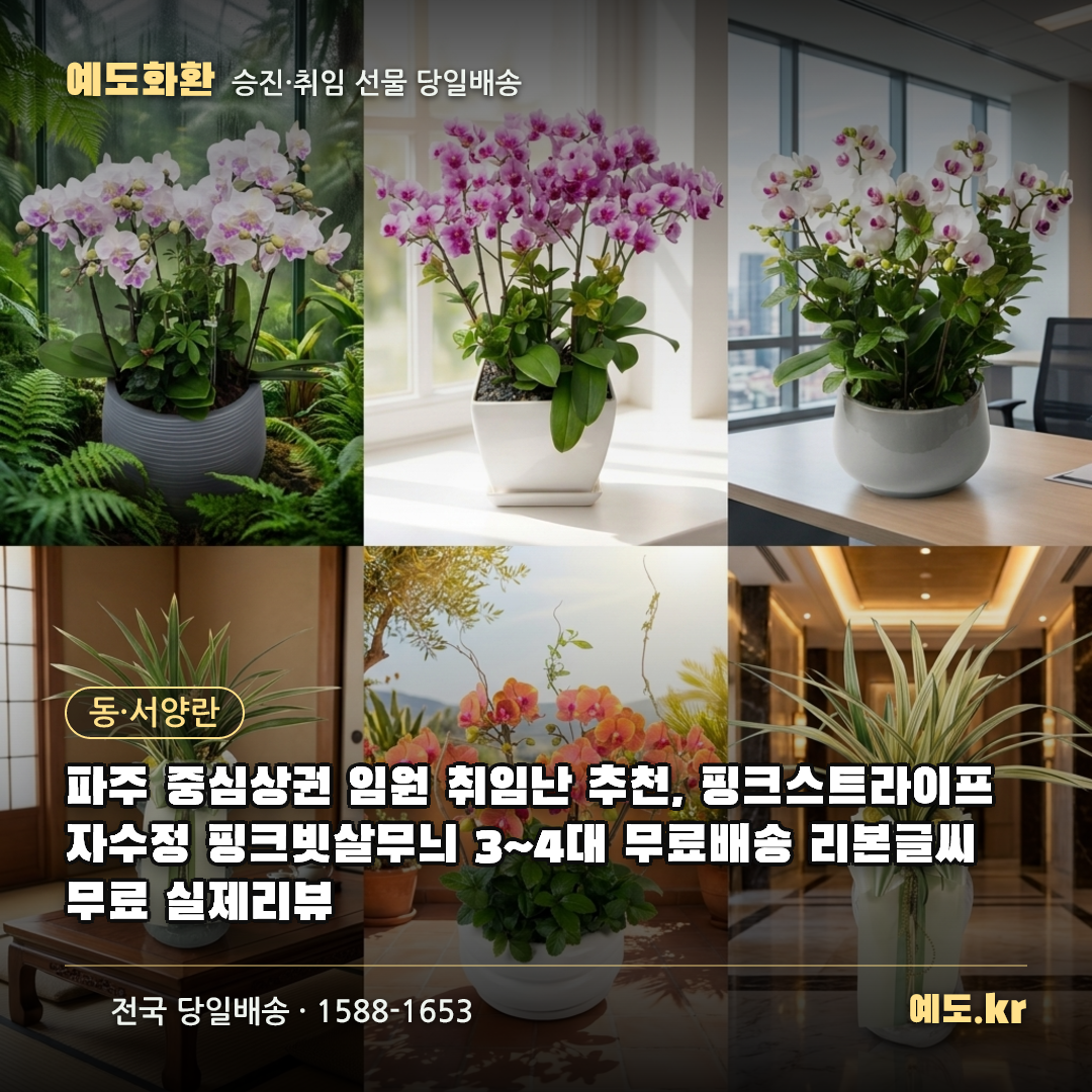 파주 중심상권 임원 취임난 추천, 핑크스트라이프 자수정 핑크빗살무늬 3~4대 무료배송 리본글씨 무료 실제리뷰 - 예도화환