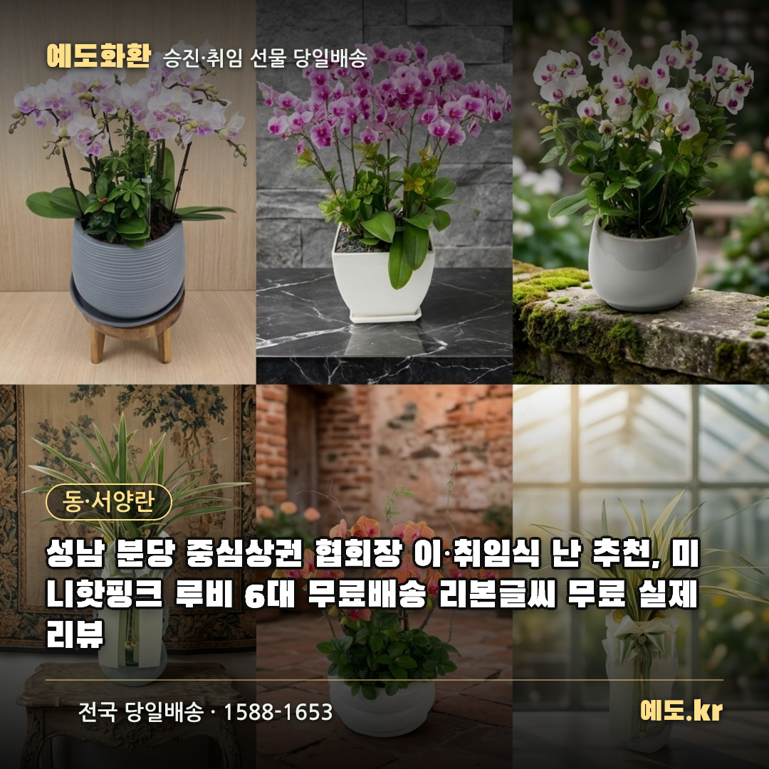성남 분당 중심상권 협회장 이·취임식 난 추천, 미니핫핑크 루비 6대 무료배송 리본글씨 무료 실제리뷰 - 예도화환