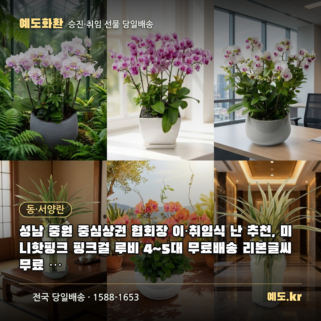 성남 중원 중심상권 협회장 이·취임식 난 추천, 미니핫핑크 핑크걸 루비 4~5대 무료배송 리본글씨 무료 실제리뷰 - 예도화환