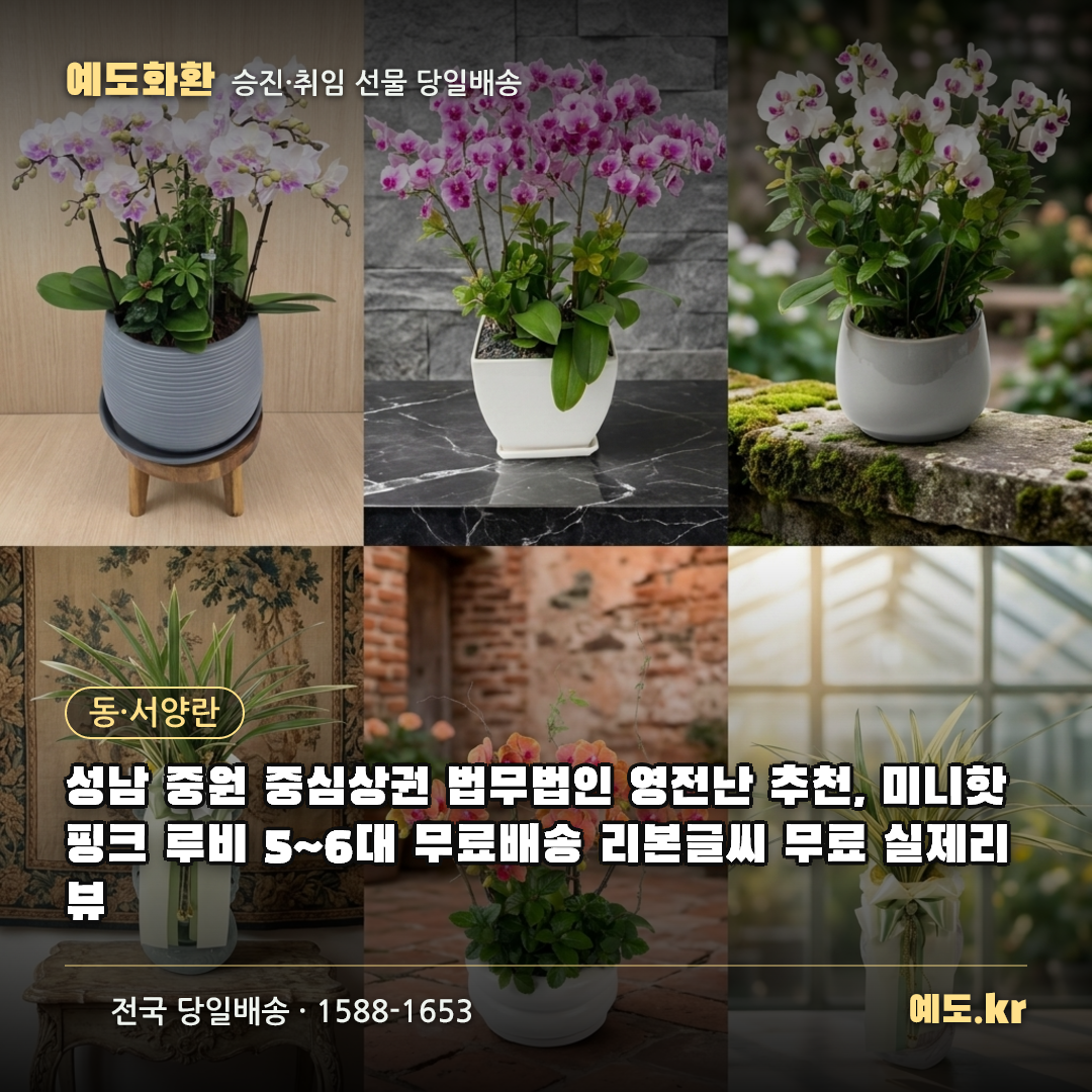 성남 중원 중심상권 법무법인 영전난 추천, 미니핫핑크 루비 5~6대 무료배송 리본글씨 무료 실제리뷰 - 예도화환