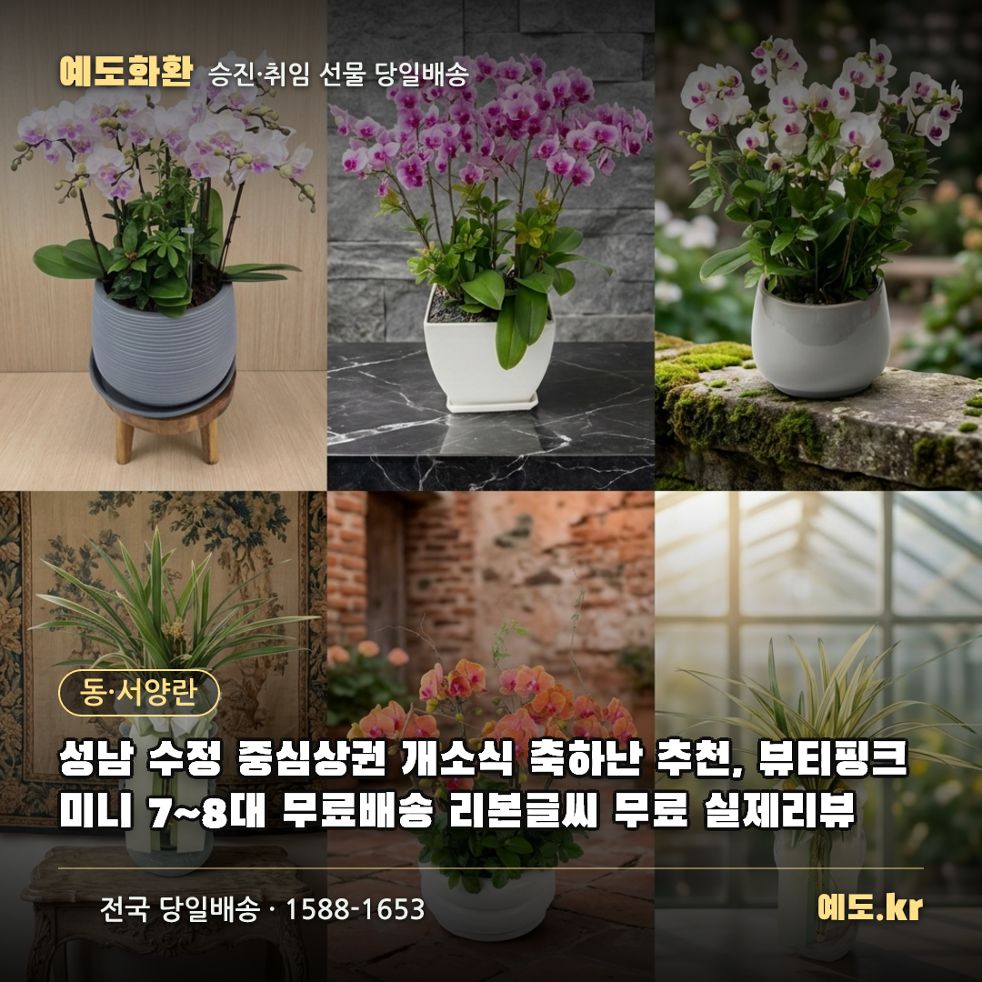 성남 수정 중심상권 개소식 축하난 추천, 뷰티핑크미니 7~8대 무료배송 리본글씨 무료 실제리뷰 - 예도화환
