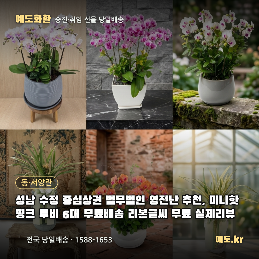성남 수정 중심상권 법무법인 영전난 추천, 미니핫핑크 루비 6대 무료배송 리본글씨 무료 실제리뷰 - 예도화환