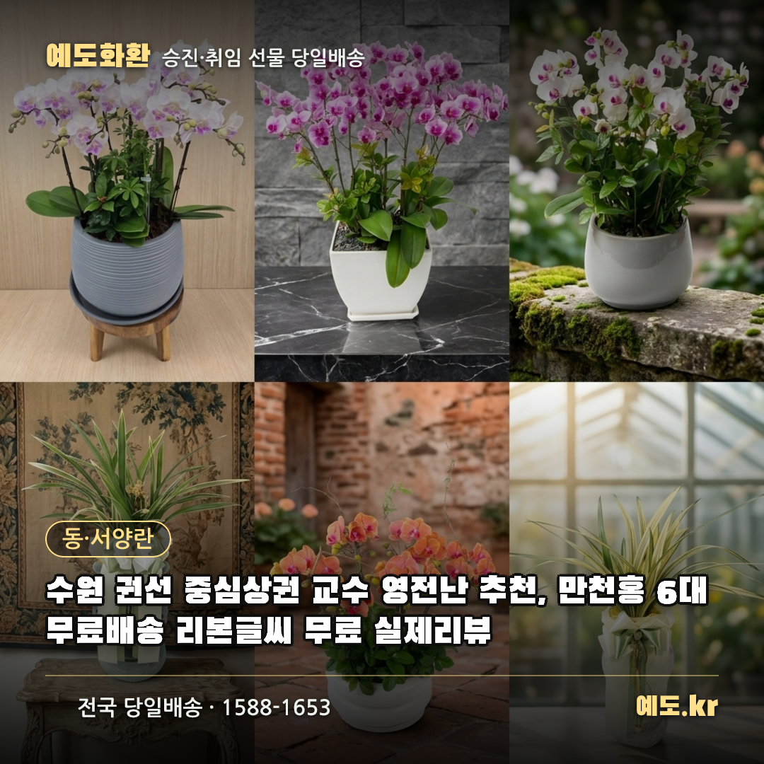 수원 권선 중심상권 교수 영전난 추천, 만천홍 6대 무료배송 리본글씨 무료 실제리뷰 - 예도화환