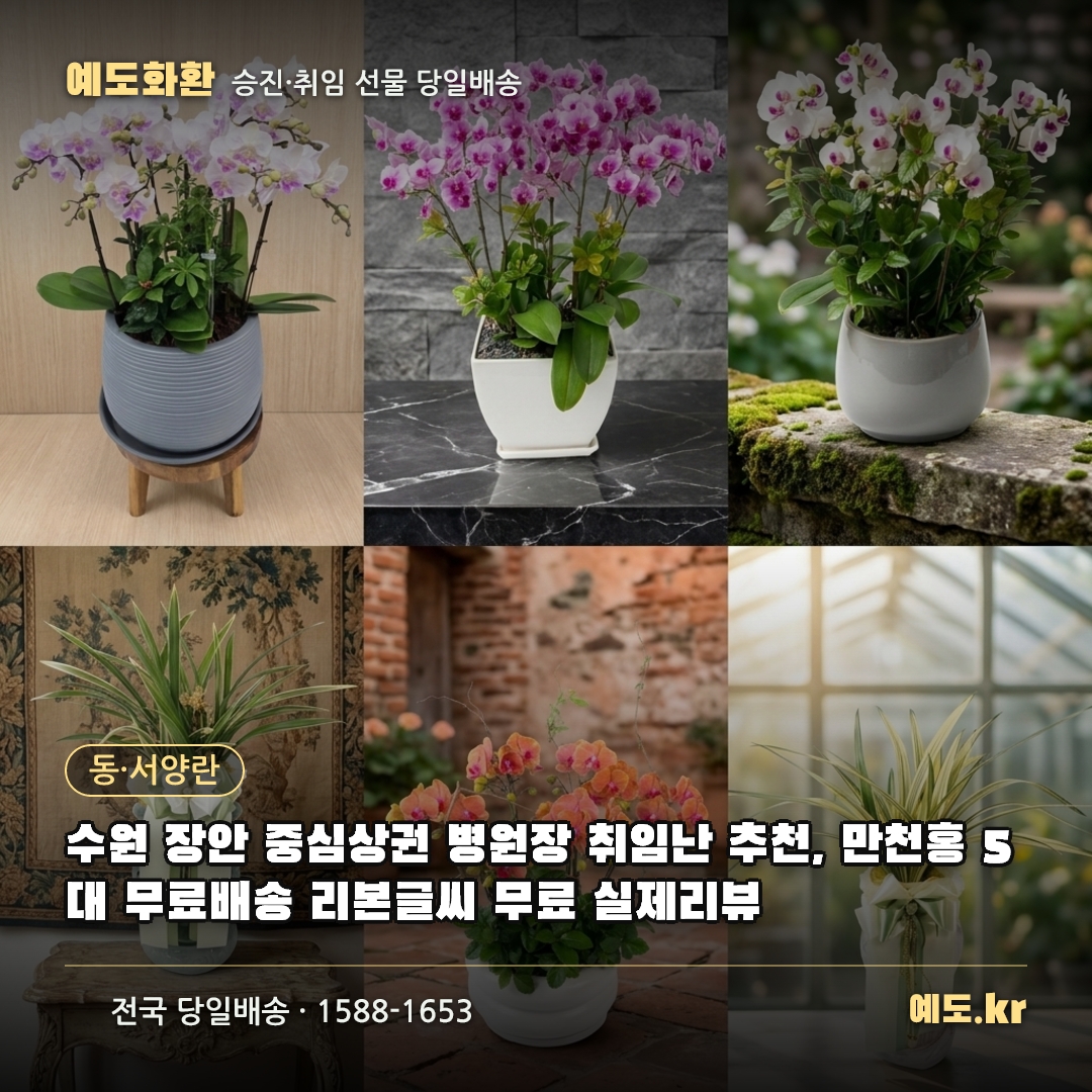 수원 장안 중심상권 병원장 취임난 추천, 만천홍 5대 무료배송 리본글씨 무료 실제리뷰 - 예도화환