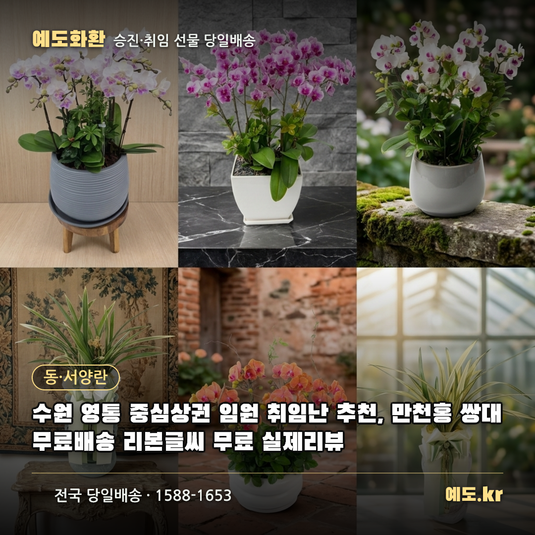 수원 영통 중심상권 임원 취임난 추천, 만천홍 쌍대 무료배송 리본글씨 무료 실제리뷰 - 예도화환
