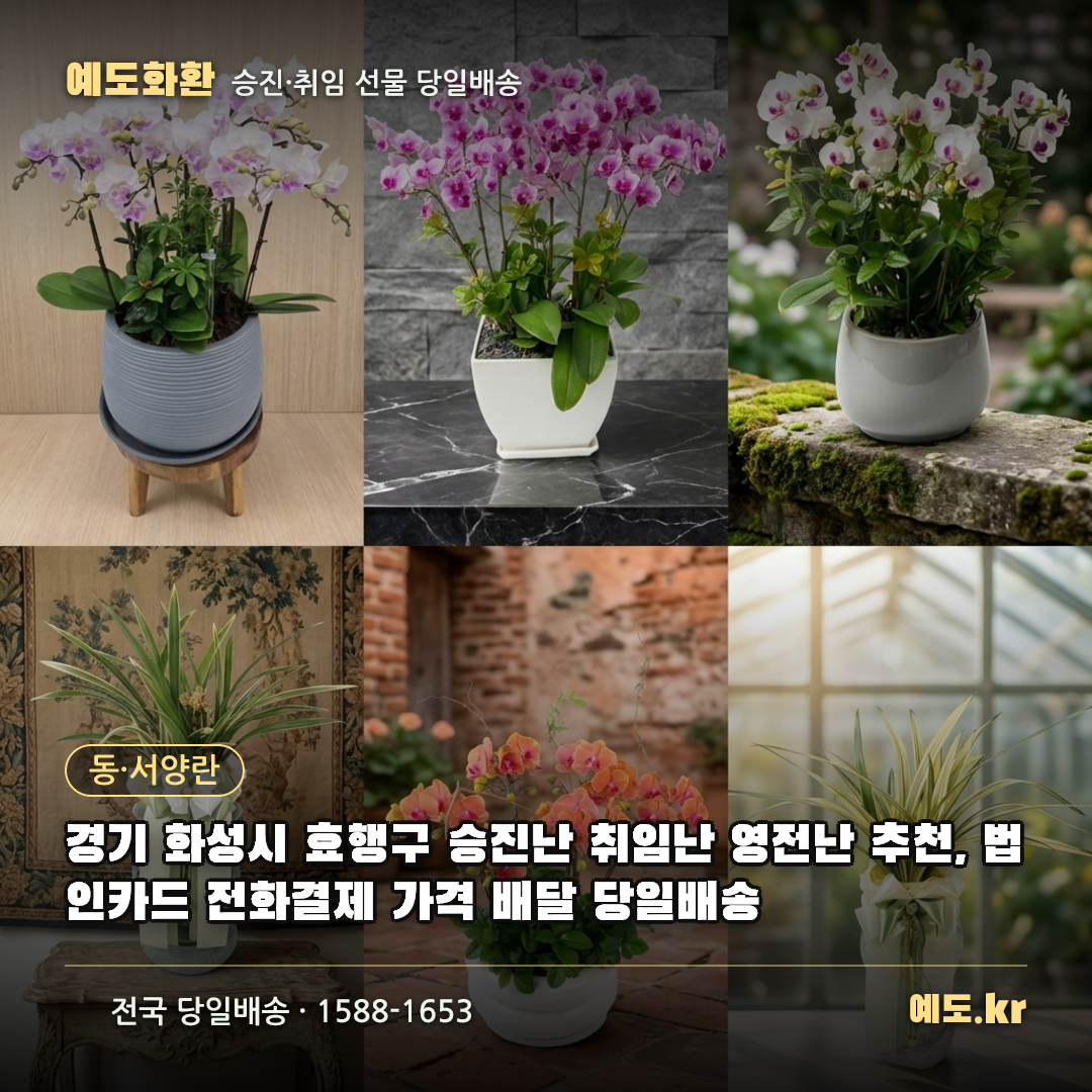 경기 화성시 효행구 승진난 취임난 영전난 추천, 법인카드 전화결제 가격 배달 당일배송 - 예도화환