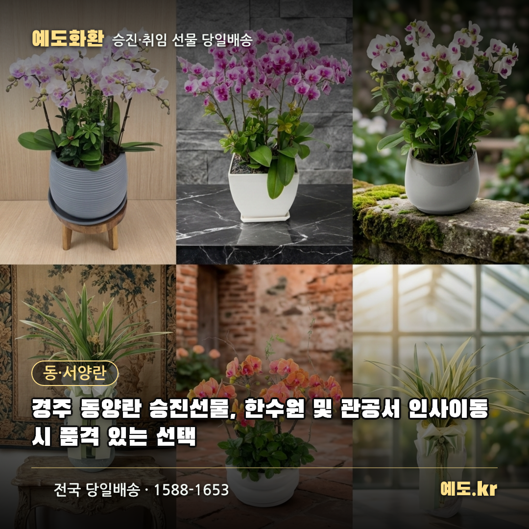 경주 동양란 승진선물, 한수원 및 관공서 인사이동 시 품격 있는 선택 - 예도화환