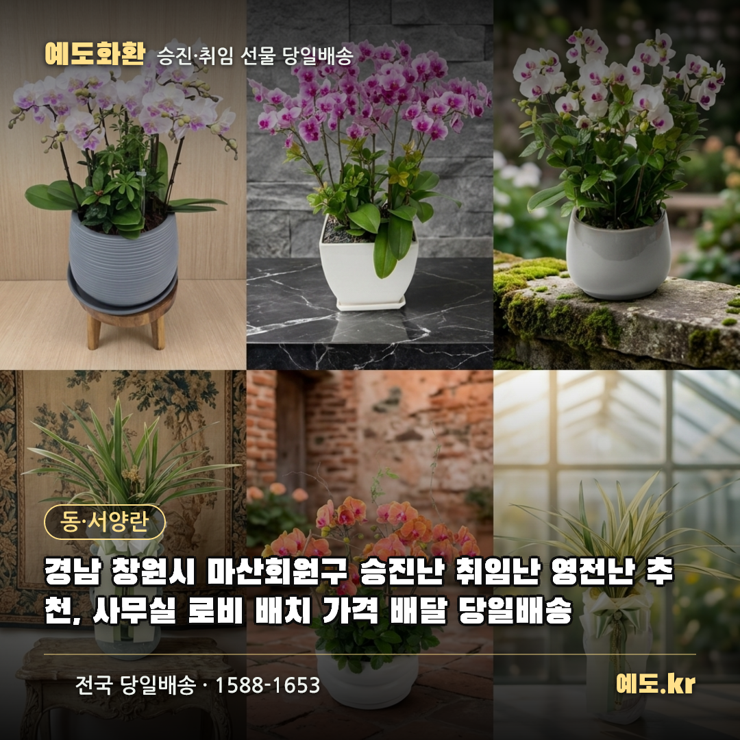 경남 창원시 마산회원구 승진난 취임난 영전난 추천, 사무실 로비 배치 가격 배달 당일배송 - 예도화환