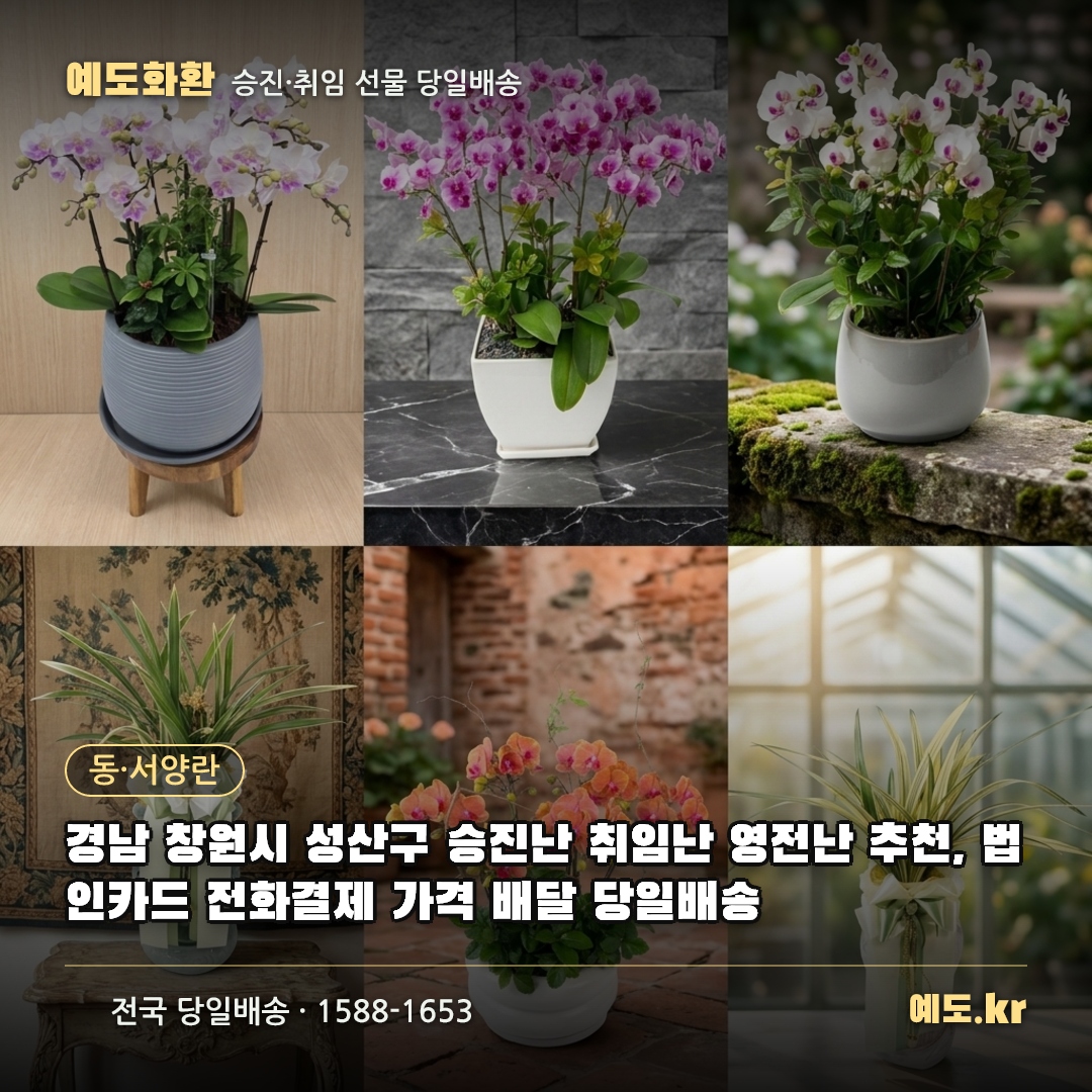 경남 창원시 성산구 승진난 취임난 영전난 추천, 법인카드 전화결제 가격 배달 당일배송 - 예도화환