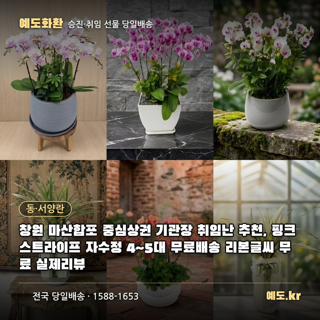창원 마산합포 중심상권 기관장 취임난 추천, 핑크스트라이프 자수정 4~5대 무료배송 리본글씨 무료 실제리뷰 - 예도화환