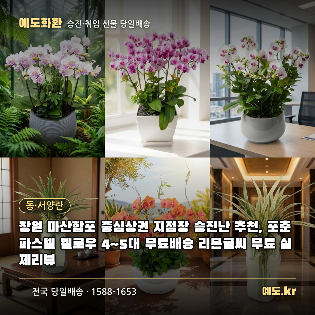 창원 마산합포 중심상권 지점장 승진난 추천, 포춘 파스텔 옐로우 4~5대 무료배송 리본글씨 무료 실제리뷰 - 예도화환