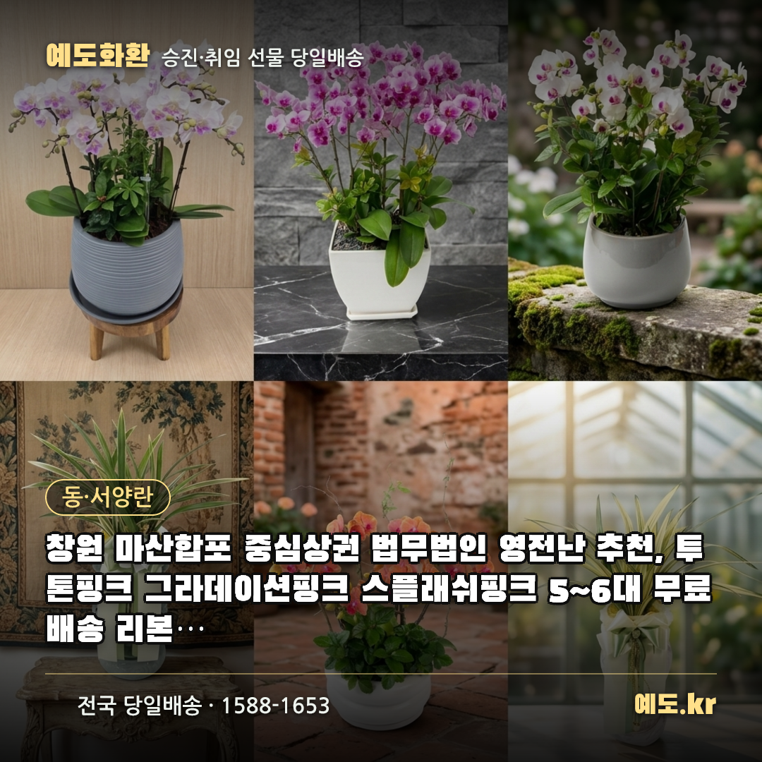 창원 마산합포 중심상권 법무법인 영전난 추천, 투톤핑크 그라데이션핑크 스플래쉬핑크 5~6대 무료배송 리본글씨 무료 실제리뷰 - 예도화환