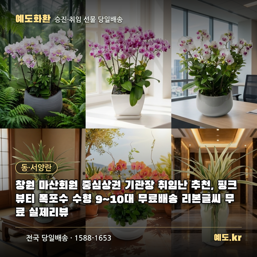 창원 마산회원 중심상권 기관장 취임난 추천, 핑크뷰티 폭포수 수형 9~10대 무료배송 리본글씨 무료 실제리뷰 - 예도화환