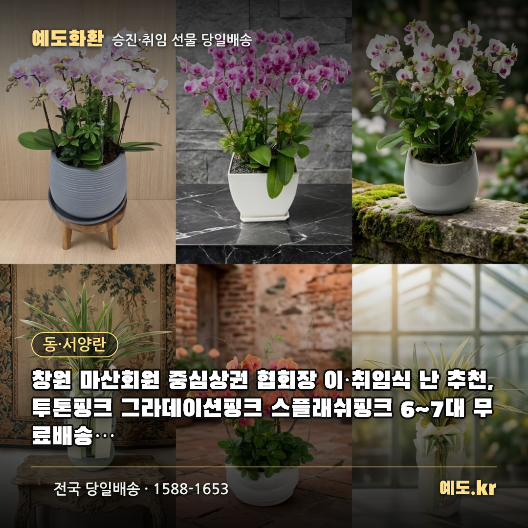 창원 마산회원 중심상권 협회장 이·취임식 난 추천, 투톤핑크 그라데이션핑크 스플래쉬핑크 6~7대 무료배송 리본글씨 무료 실제리뷰 - 예도화환