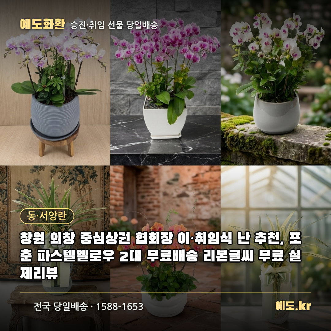 창원 의창 중심상권 협회장 이·취임식 난 추천, 포춘 파스텔옐로우 2대 무료배송 리본글씨 무료 실제리뷰 - 예도화환
