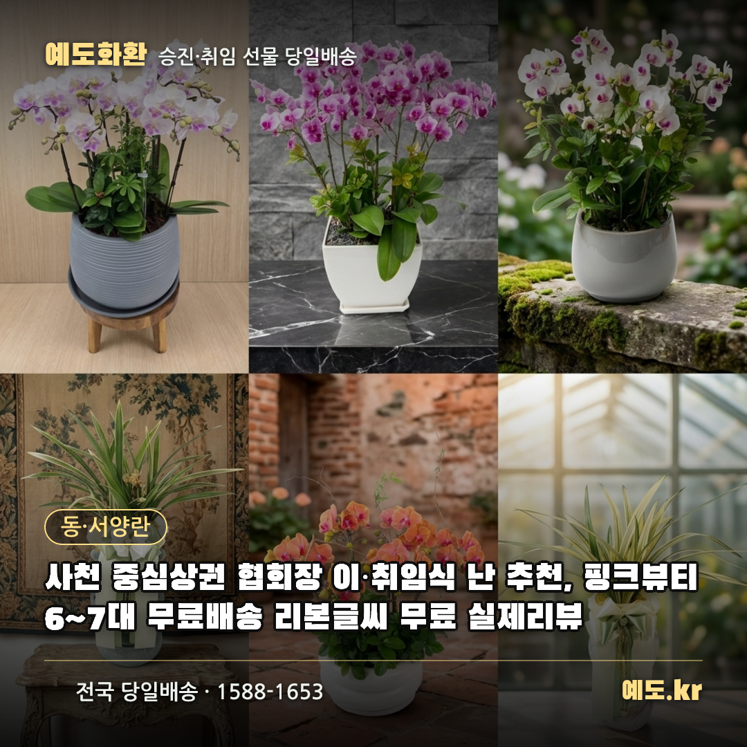 사천 중심상권 협회장 이·취임식 난 추천, 핑크뷰티 6~7대 무료배송 리본글씨 무료 실제리뷰 - 예도화환