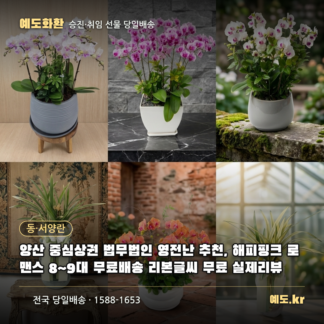 양산 중심상권 법무법인 영전난 추천, 해피핑크 로맨스 8~9대 무료배송 리본글씨 무료 실제리뷰 - 예도화환