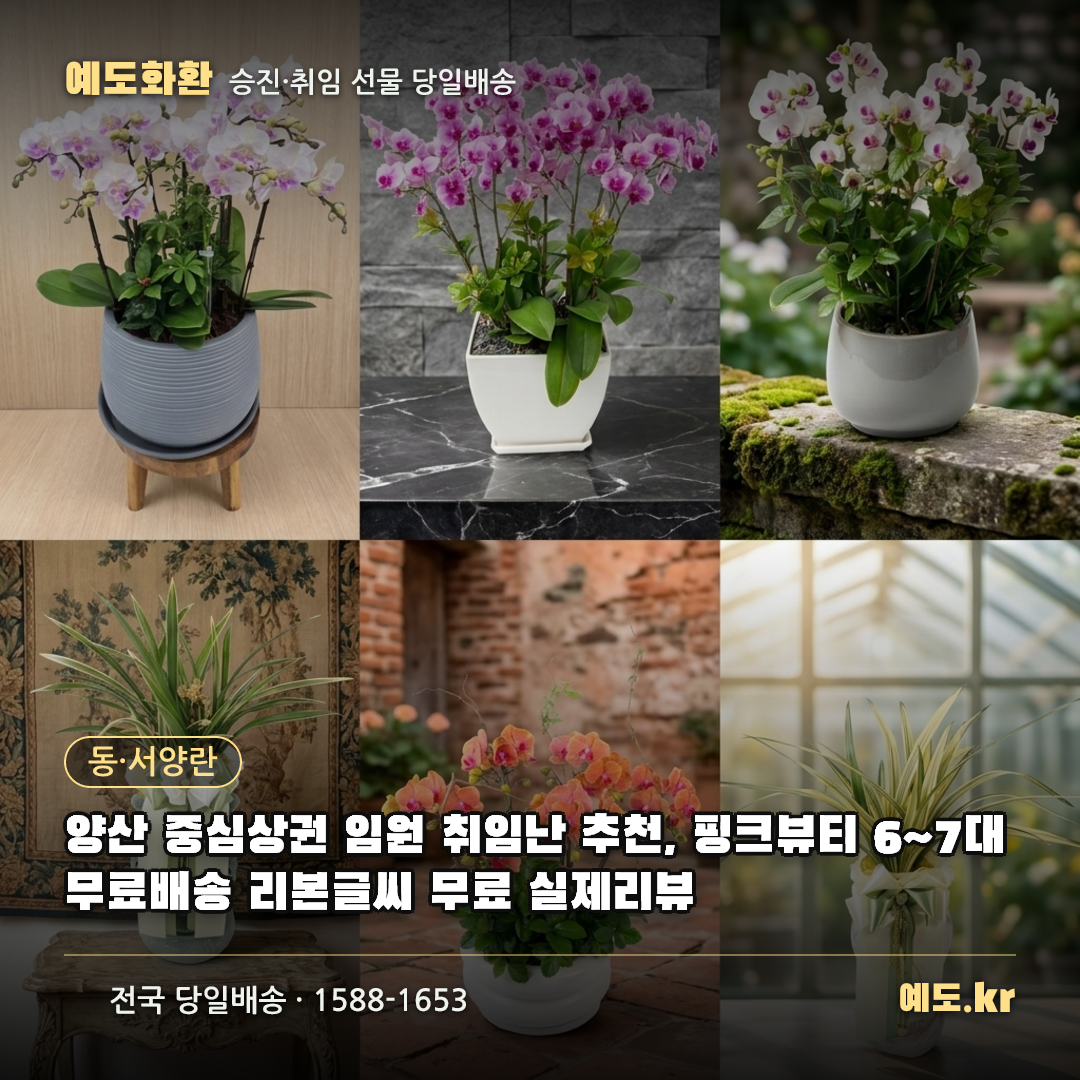 양산 중심상권 임원 취임난 추천, 핑크뷰티 6~7대 무료배송 리본글씨 무료 실제리뷰 - 예도화환