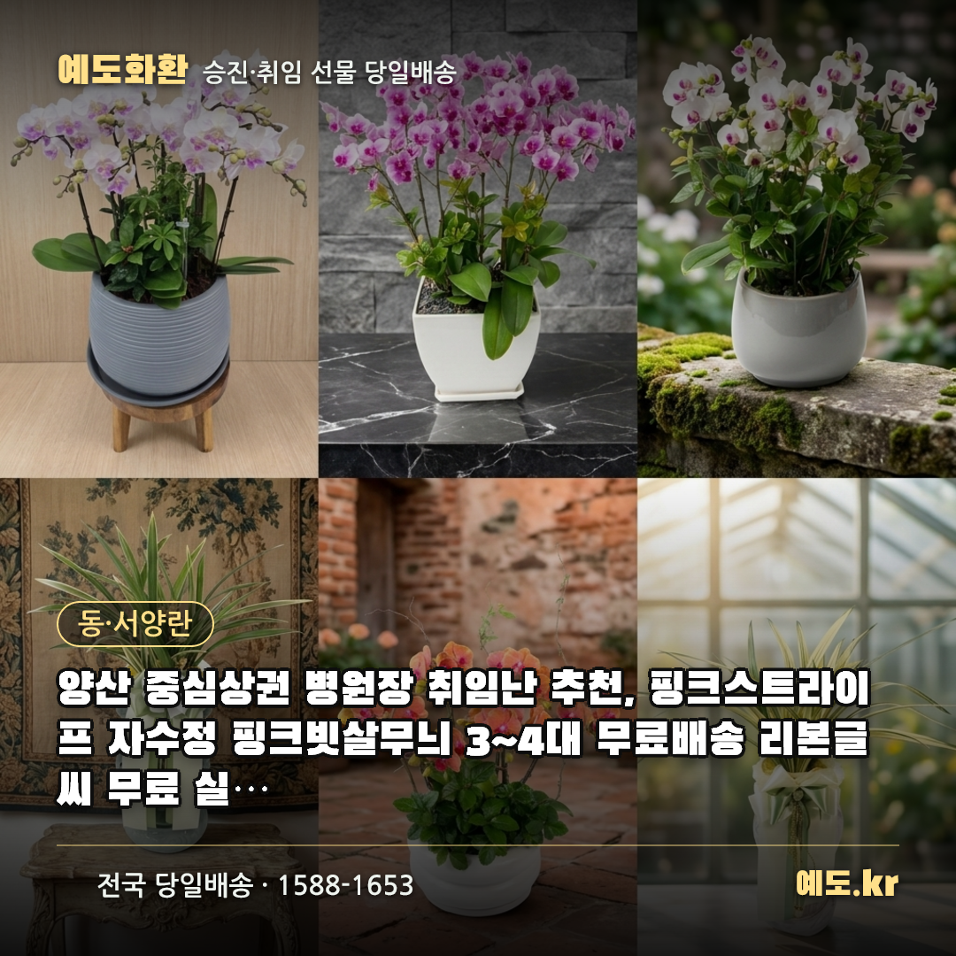 양산 중심상권 병원장 취임난 추천, 핑크스트라이프 자수정 핑크빗살무늬 3~4대 무료배송 리본글씨 무료 실제리뷰 - 예도화환