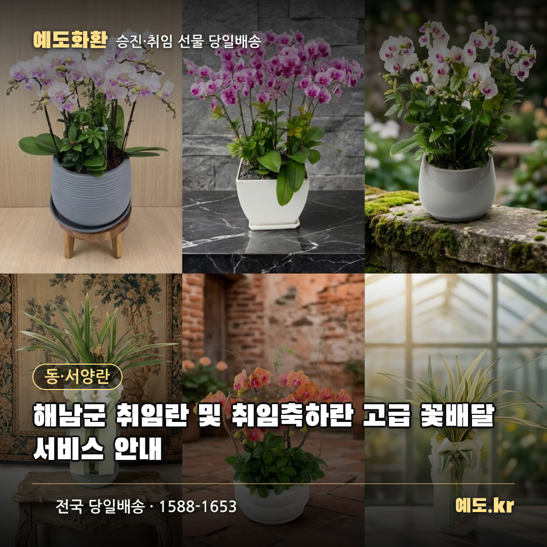 해남군 취임란 및 취임축하란 고급 꽃배달 서비스 안내 - 예도화환