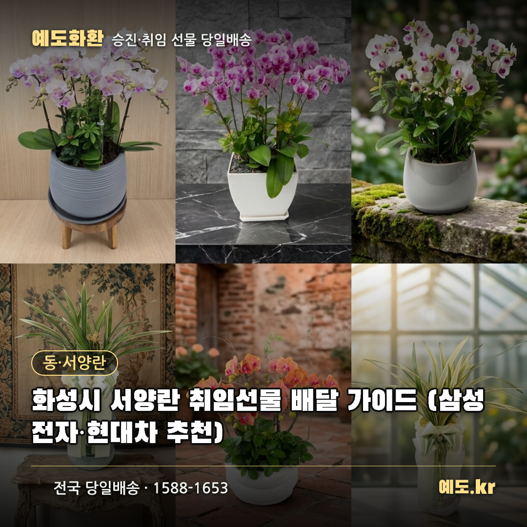 화성시 서양란 취임선물 배달 가이드 (삼성전자·현대차 추천) - 예도화환