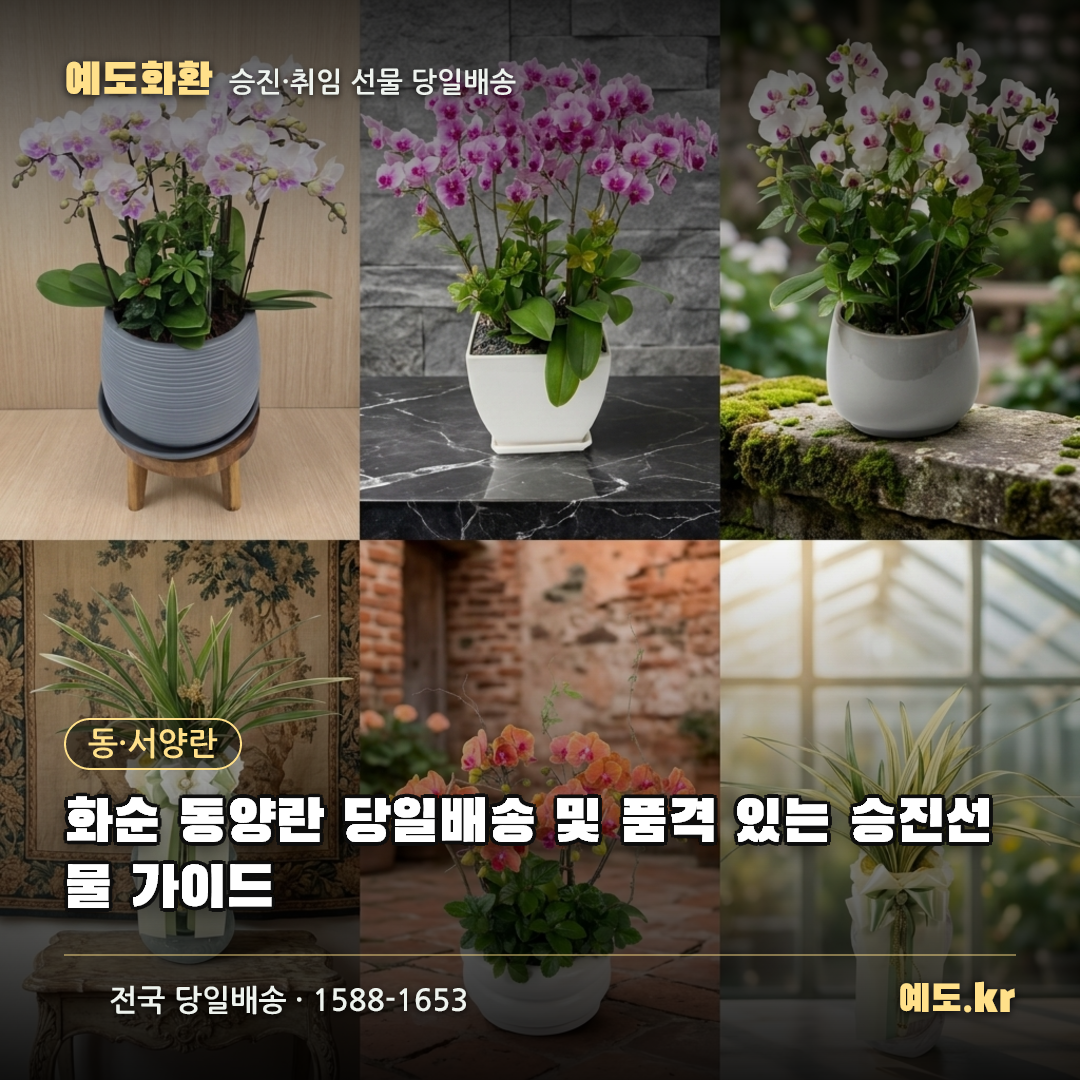화순 동양란 당일배송 및 품격 있는 승진선물 가이드 - 예도화환