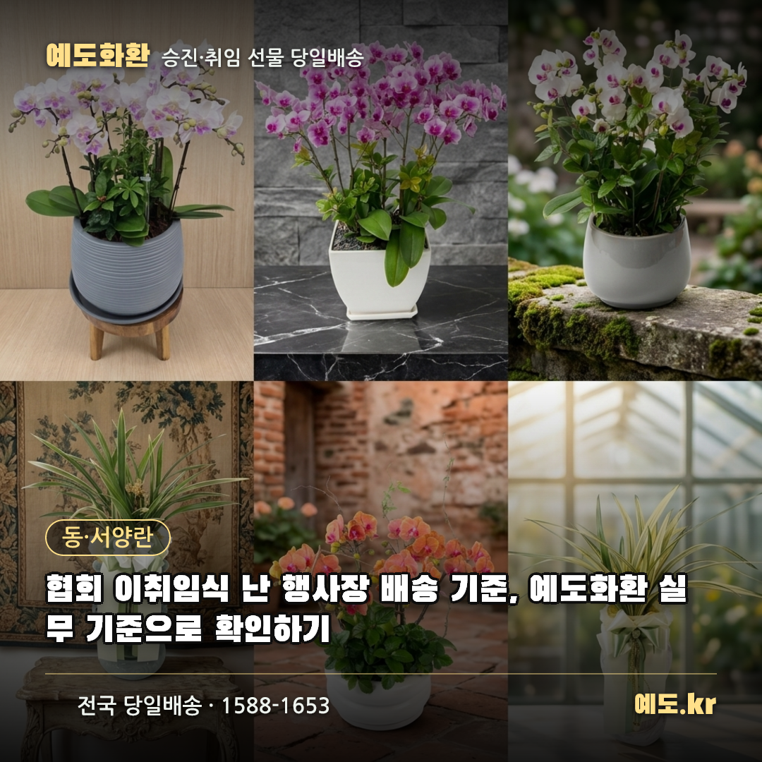 협회 이취임식 난 행사장 배송 기준, 예도화환 실무 기준으로 확인하기 - 예도화환