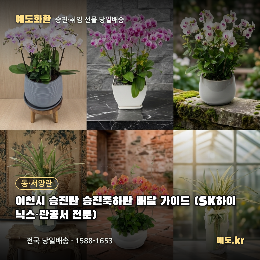 이천시 승진란 승진축하란 배달 가이드 (SK하이닉스·관공서 전문) - 예도화환
