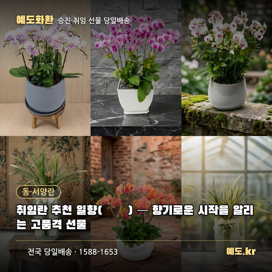 취임란 추천 일향(一香) — 향기로운 시작을 알리는 고품격 선물 - 예도화환