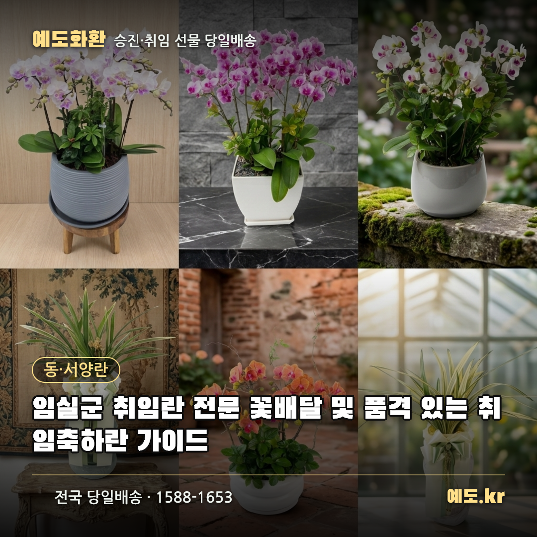 임실군 취임란 전문 꽃배달 및 품격 있는 취임축하란 가이드 - 예도화환
