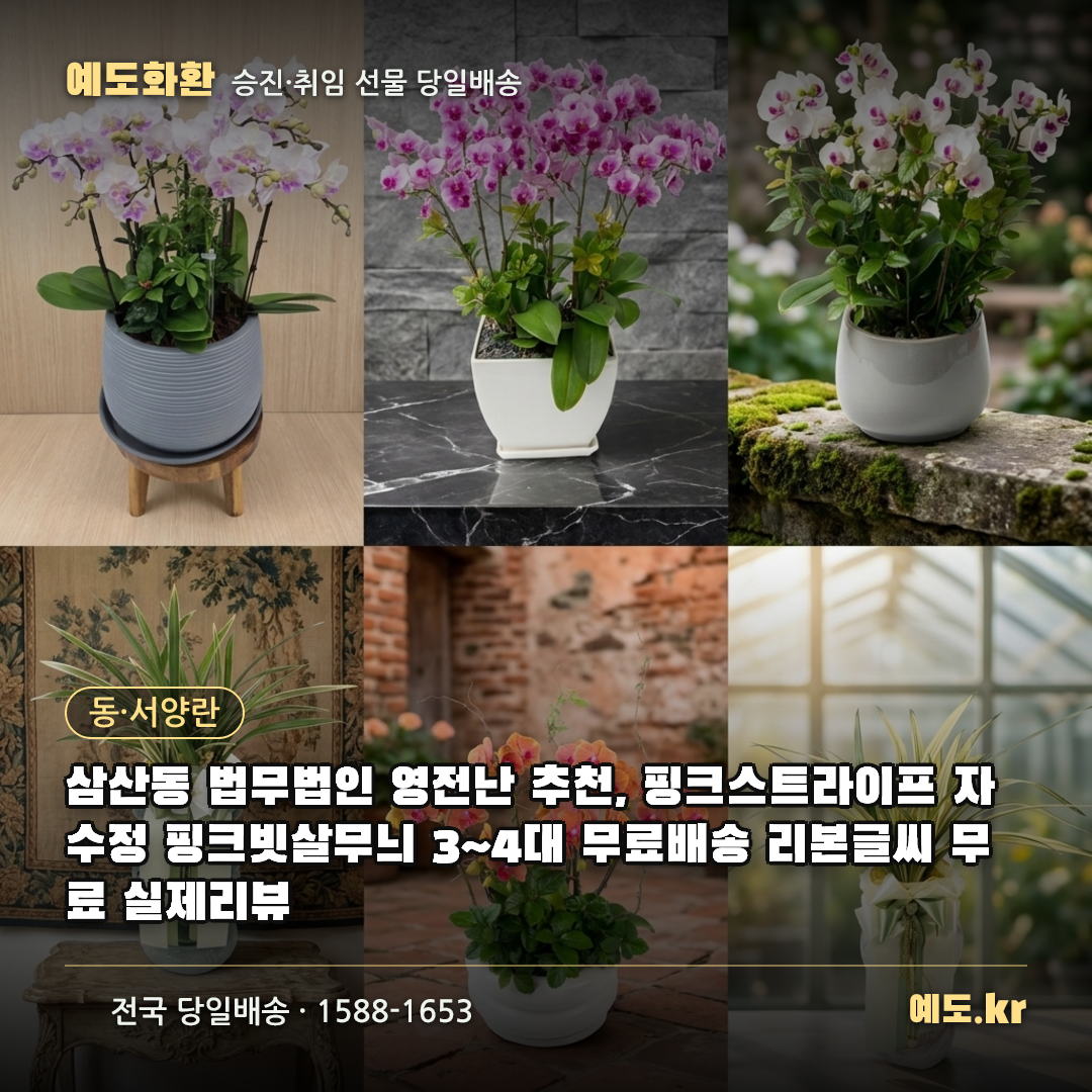 삼산동 법무법인 영전난 추천, 핑크스트라이프 자수정 핑크빗살무늬 3~4대 무료배송 리본글씨 무료 실제리뷰 - 예도화환