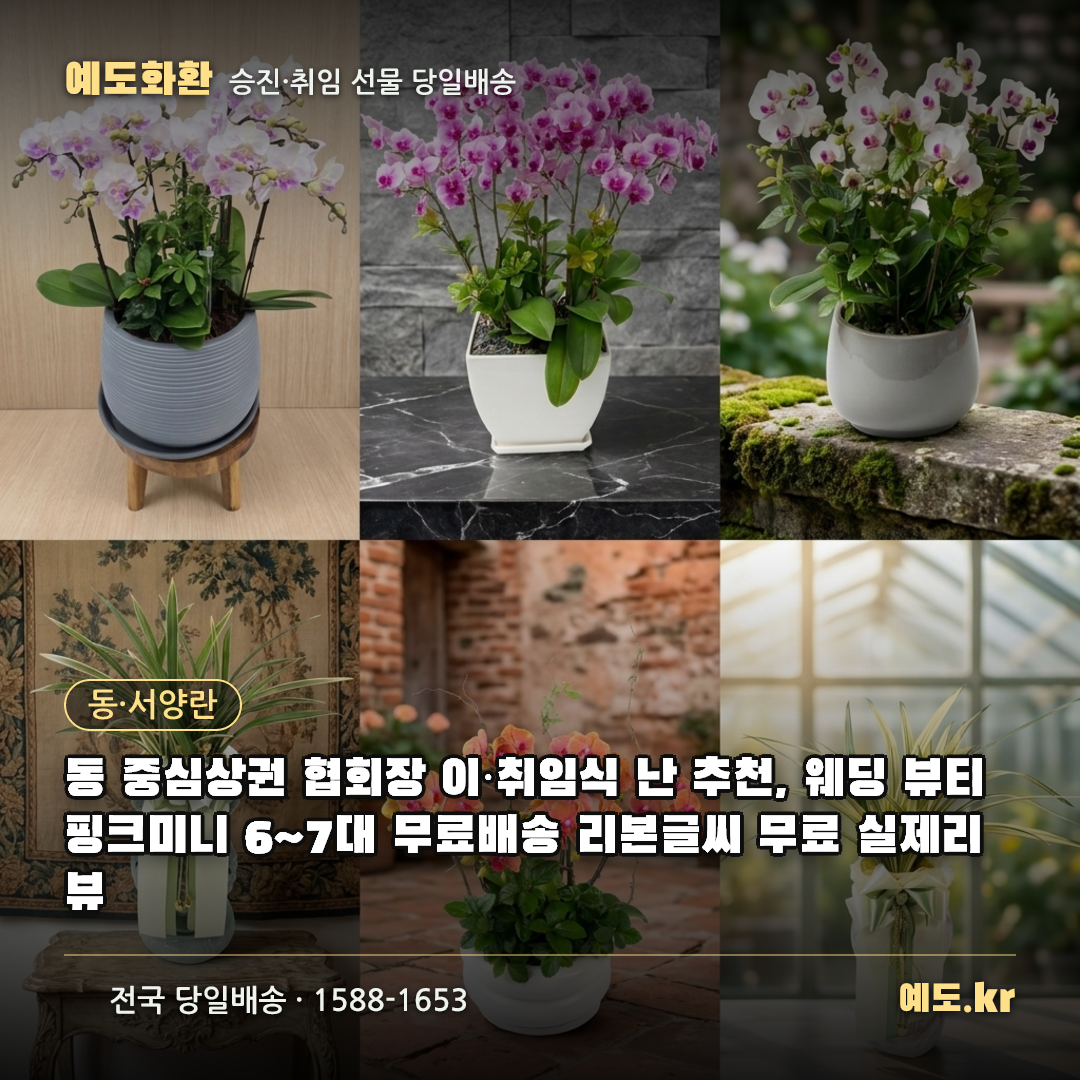 동 중심상권 협회장 이·취임식 난 추천, 웨딩 뷰티 핑크미니 6~7대 무료배송 리본글씨 무료 실제리뷰 - 예도화환