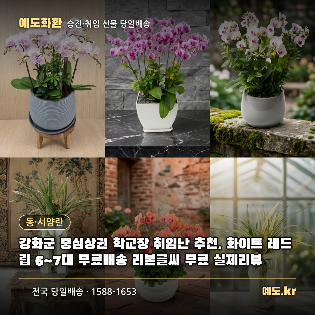 강화군 중심상권 학교장 취임난 추천, 화이트 레드립 6~7대 무료배송 리본글씨 무료 실제리뷰 - 예도화환