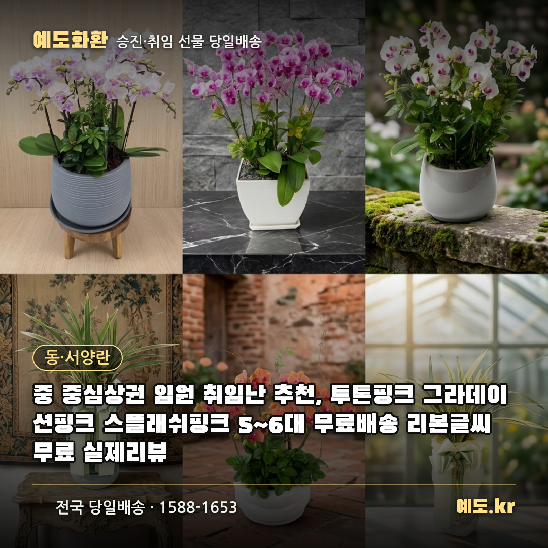중 중심상권 임원 취임난 추천, 투톤핑크 그라데이션핑크 스플래쉬핑크 5~6대 무료배송 리본글씨 무료 실제리뷰 - 예도화환