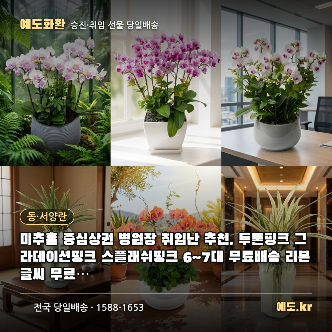 미추홀 중심상권 병원장 취임난 추천, 투톤핑크 그라데이션핑크 스플래쉬핑크 6~7대 무료배송 리본글씨 무료 실제리뷰 - 예도화환
