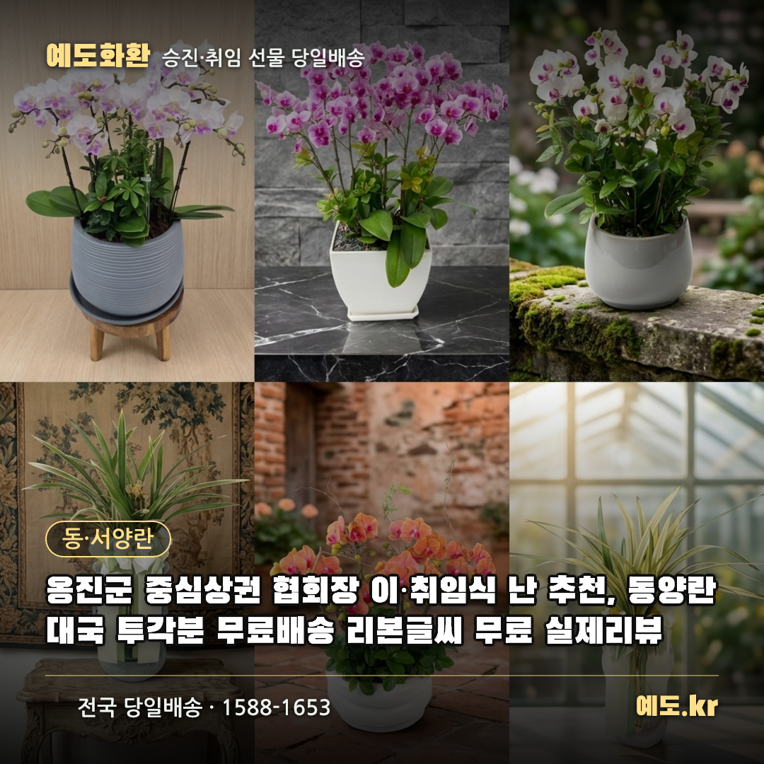 옹진군 중심상권 협회장 이·취임식 난 추천, 동양란 대국 투각분 무료배송 리본글씨 무료 실제리뷰 - 예도화환