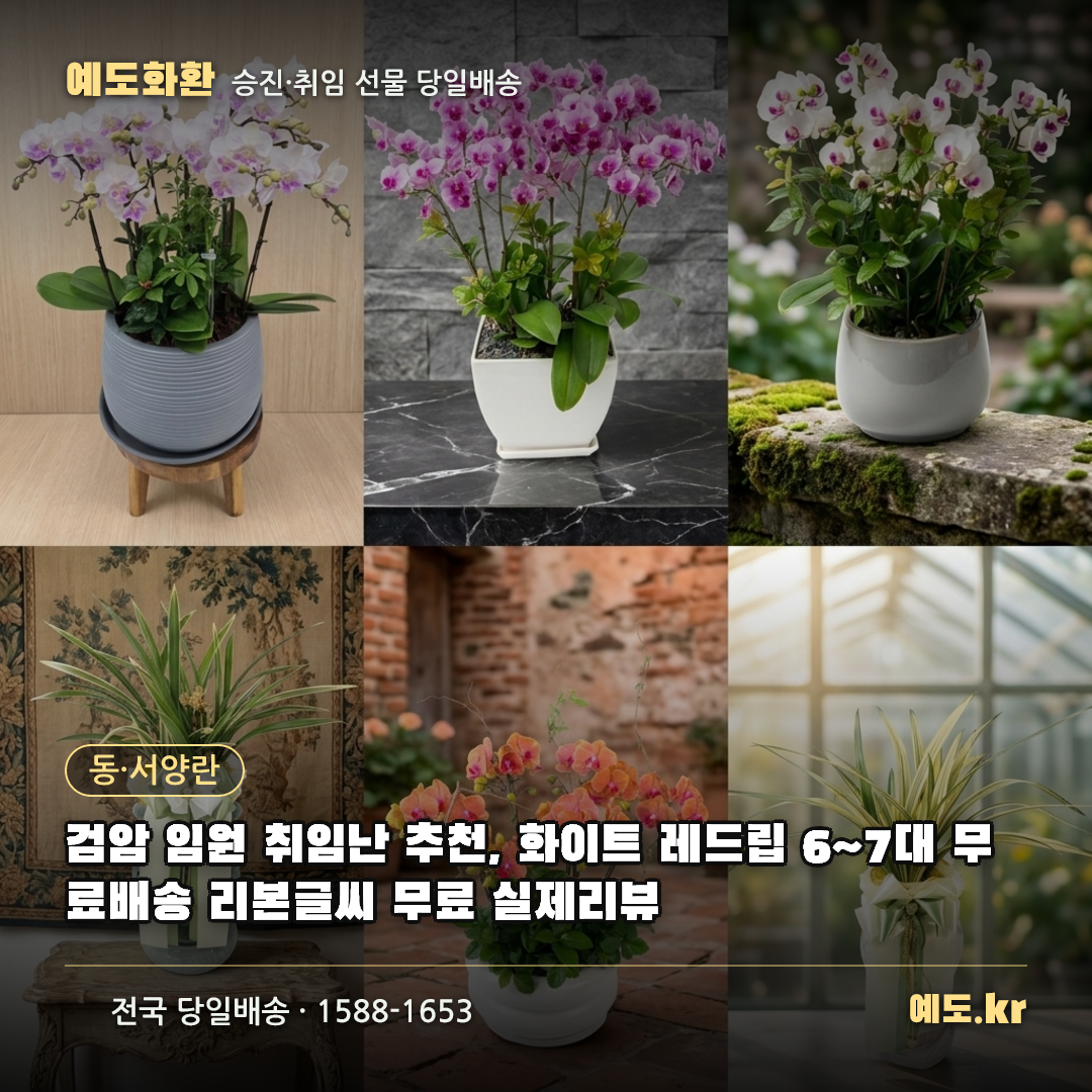 검암 임원 취임난 추천, 화이트 레드립 6~7대 무료배송 리본글씨 무료 실제리뷰 - 예도화환