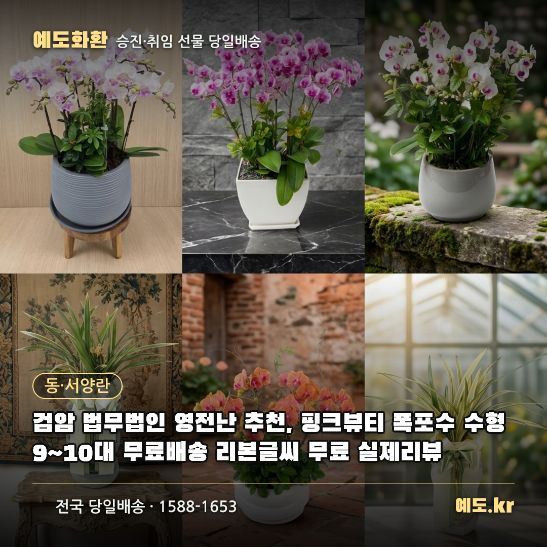 검암 법무법인 영전난 추천, 핑크뷰티 폭포수 수형 9~10대 무료배송 리본글씨 무료 실제리뷰 - 예도화환
